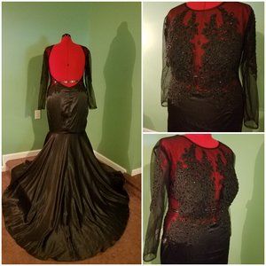 Amazing  Black Lace Illusion Gown w/ Train